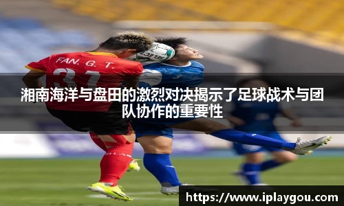 米兰(中国)体育