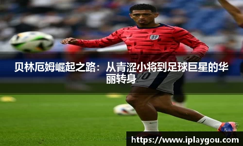 米兰(中国)体育官网