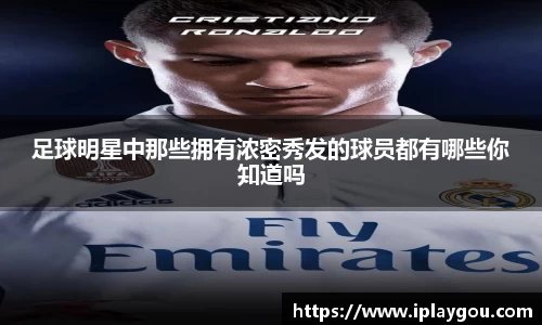 米兰(中国)体育平台