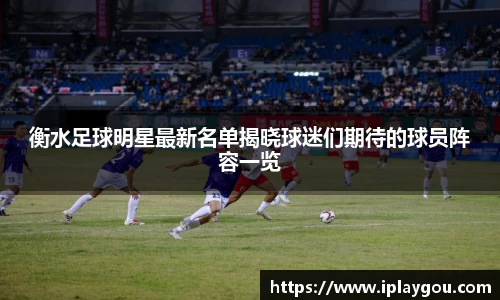 米兰(中国)体育平台